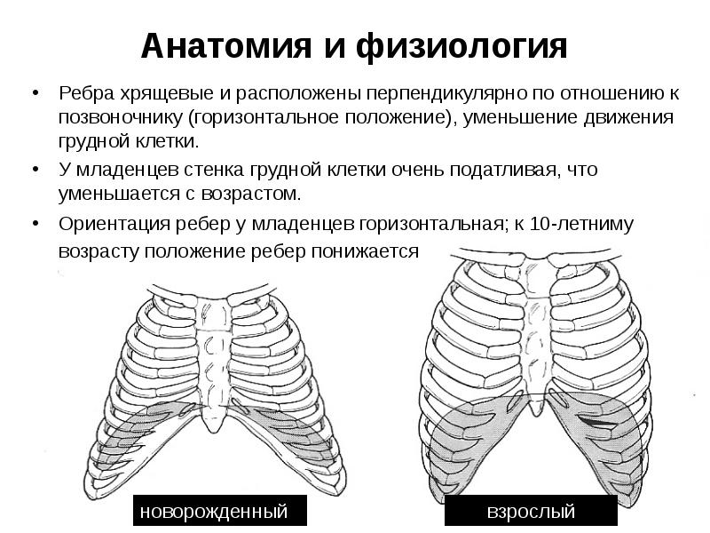 Рахитическая грудная клетка рисунок схематично