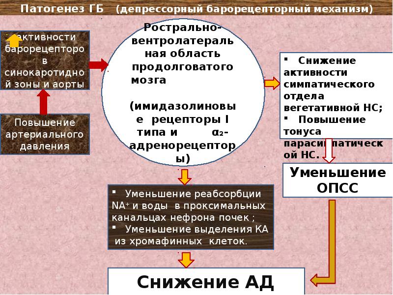 Патогенез гб. Патогенез ГБ схема. Механизм развития ГБ. Барорецепторный механизм.