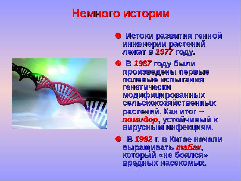 Реферат: Генетически модифицированные продукты 4