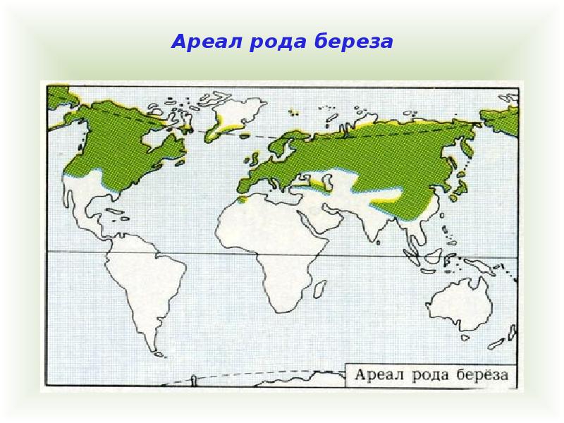 Ареал работа