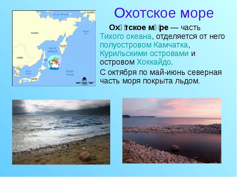 Моря тихого океана презентация