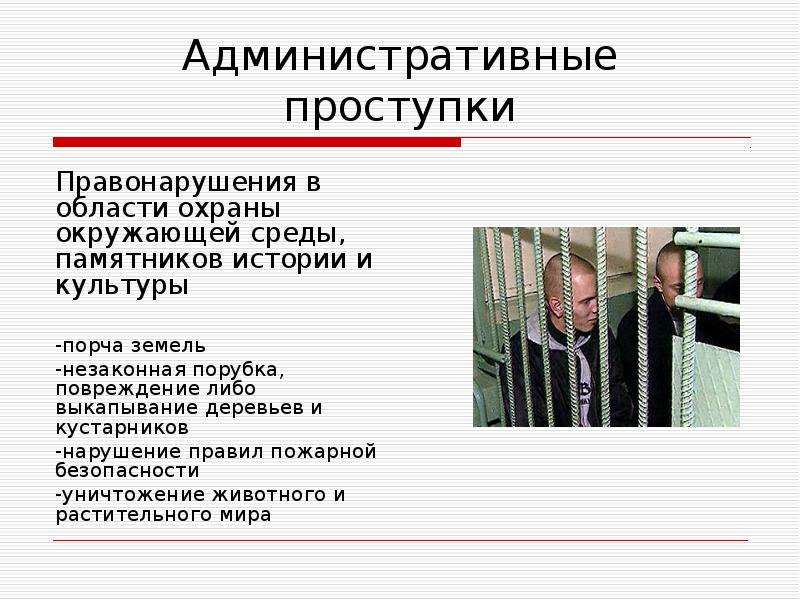 Исполнительное правонарушение. Административный проступок. Административные поступки. Административные постопк. Административные аоступки.