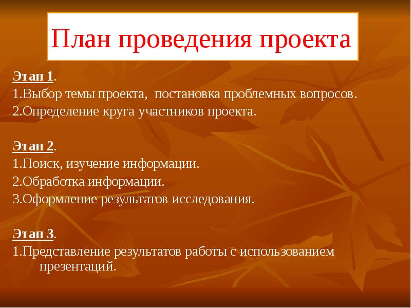 Проводить проект. Постановочный проект элементы.