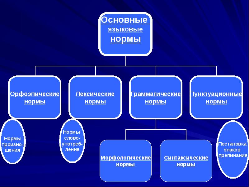 Основные виды языков. Основные языковые нормы. Культура речи нормы русского языка. Языковая норма. Основные языковые нормы русского языка.