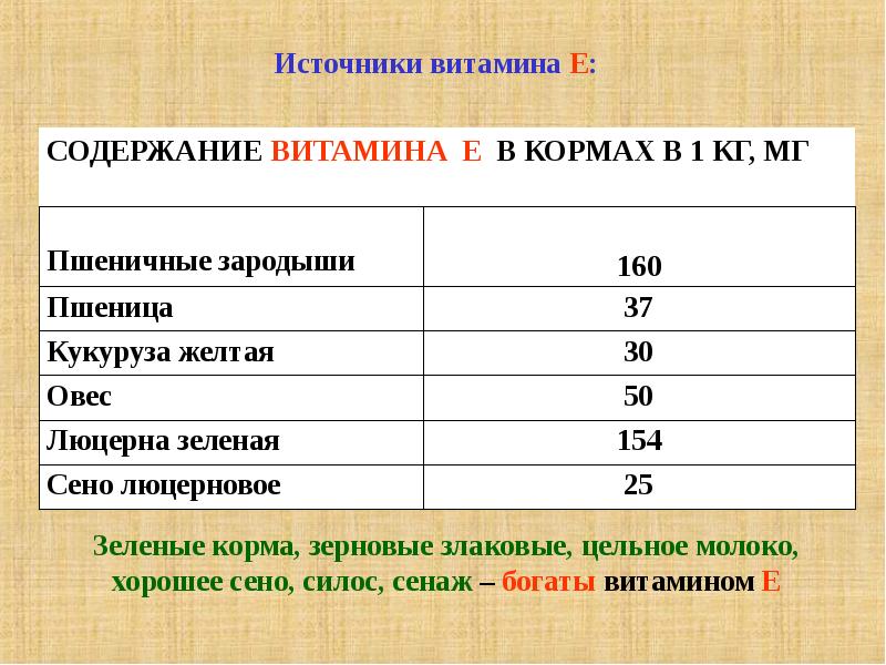 Витаминная питательность кормов животных презентация