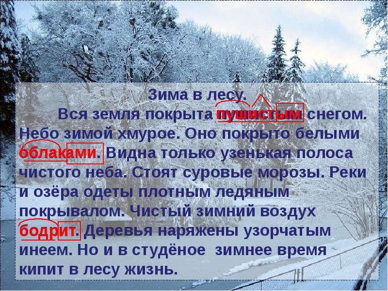 Презентация 2 декабря. Стоят суровые Морозы реки и озера. Стоят суровые Морозы. Вся земля покрыта пушистым снегом небо зимой хмурое. Текст стоят суровые Морозы.