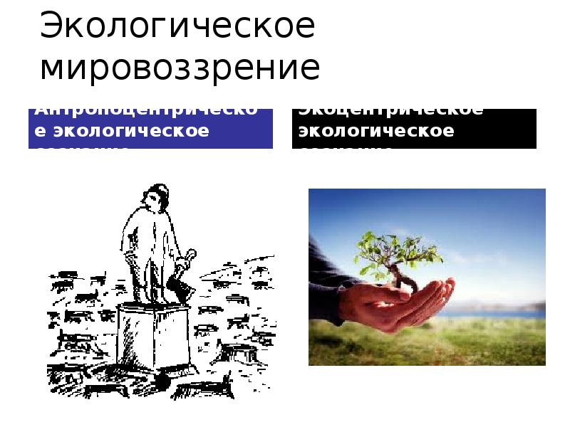 Экологическое сознание