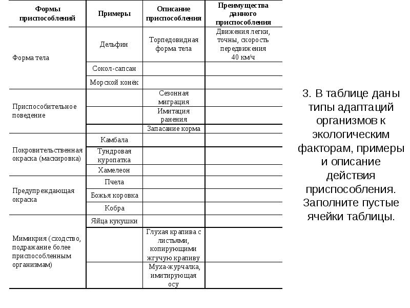 Бланк описания образца почвы