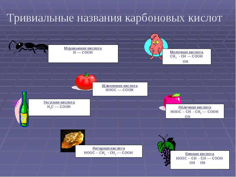 Органические кислоты презентация