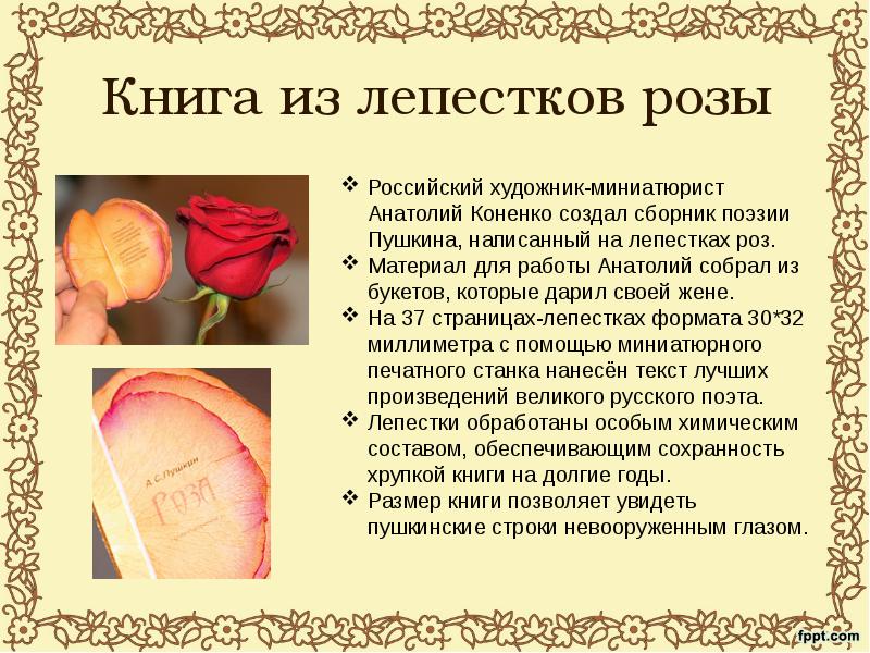 Книга из лепестков розы