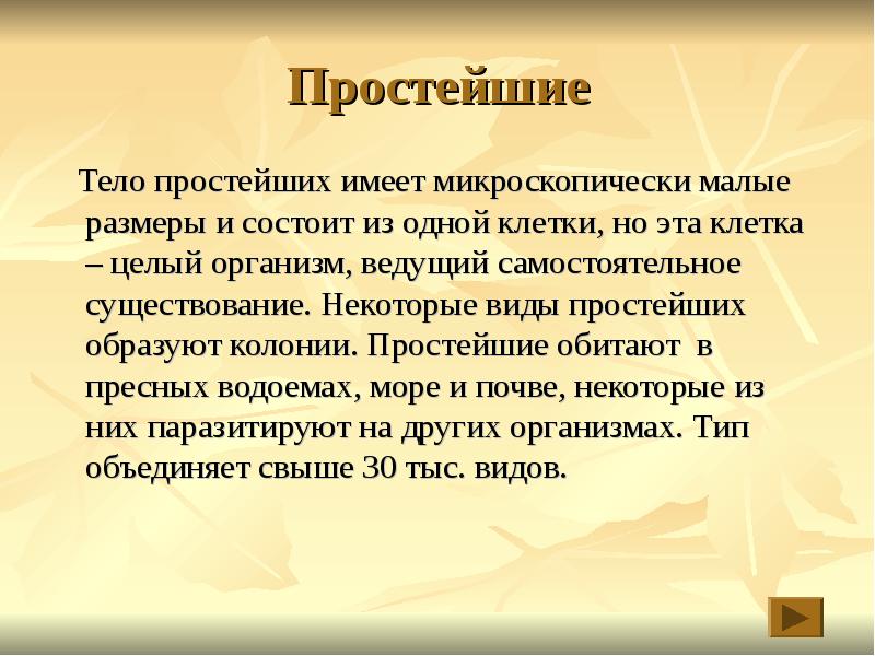 Простейший организм что это. Доклад Зоология наука о животных.