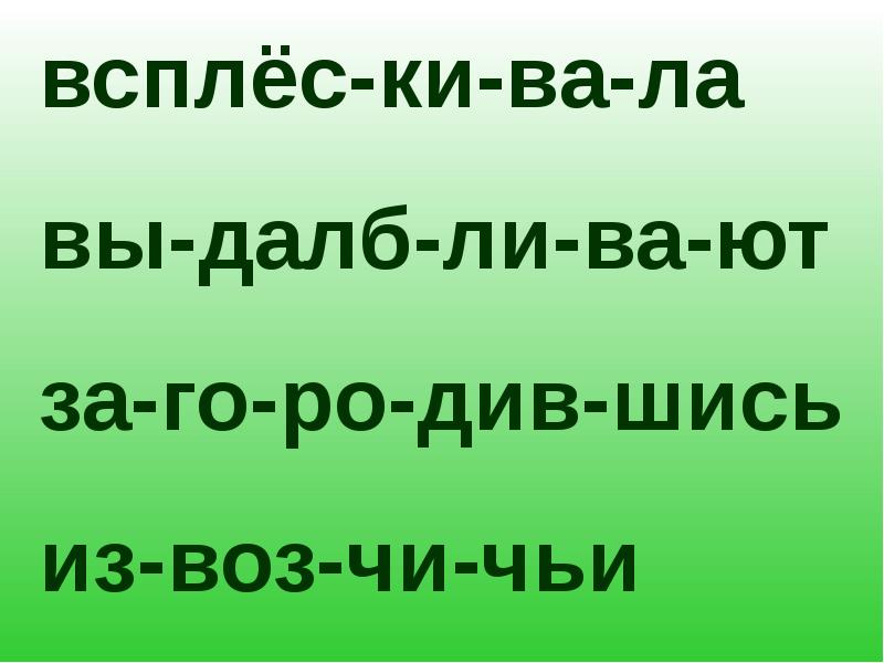 Сколько живут далб ëбы