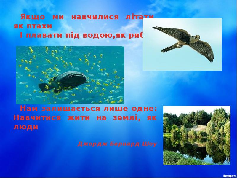 Закони збереження у природі техніці побуті проект