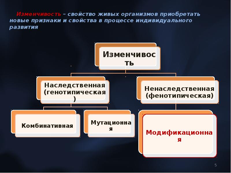 Закономерности изменчивости презентация