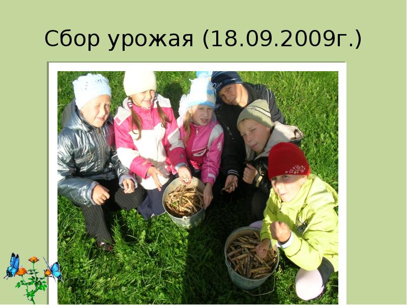 Сбор урожая (18.09.2009г.) Сбор урожая (18.09.2009г.)