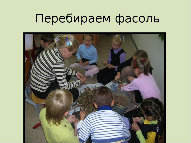 Перебираем фасоль Перебираем фасоль