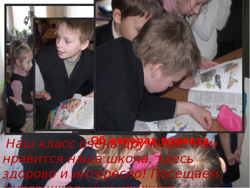 Об авторах проекта  Наш класс очень дружный. Нам нравится наша