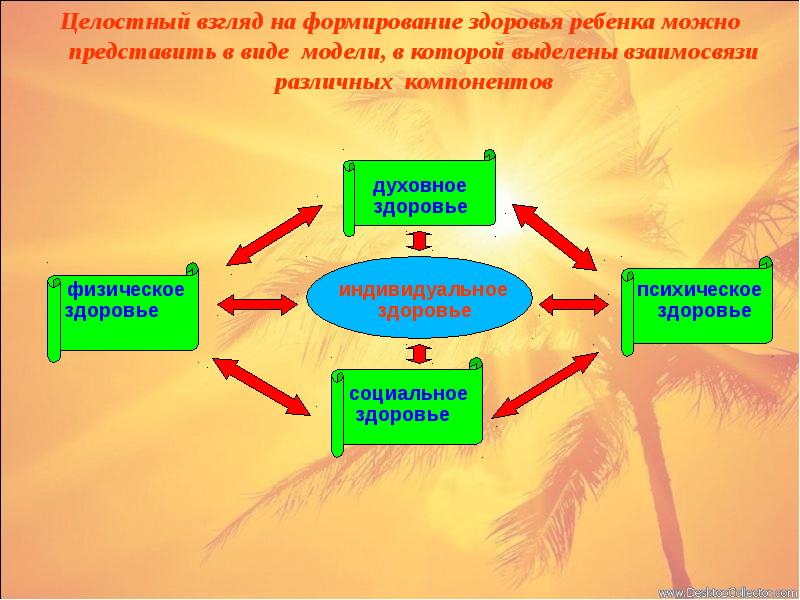 Целостный взгляд. Взаимосвязь видов здоровья человека. Компоненты социального здоровья. Компоненты здоровья физическое духовное психическое. Компоненты индивидуального здоровья.