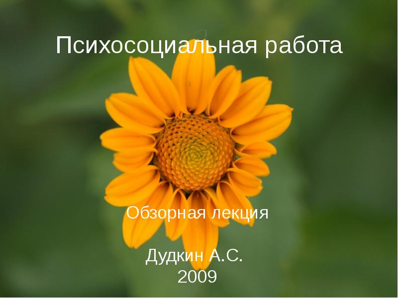 Психосоциальнаяработа