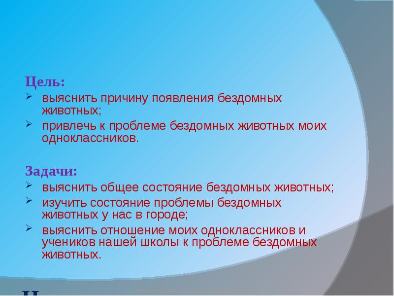 Актуальность проекта помощь бездомным животным