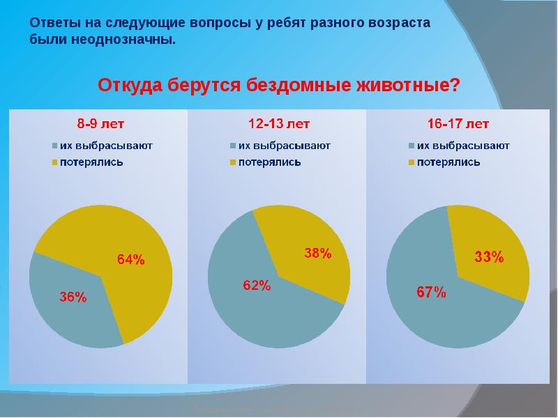 Диаграмма бездомных животных