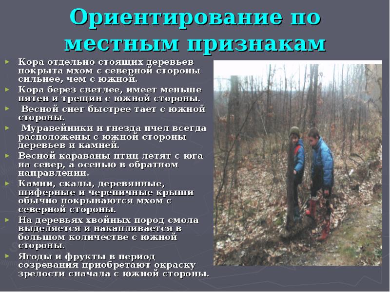 Ориентирование на местности обж 5 класс презентация