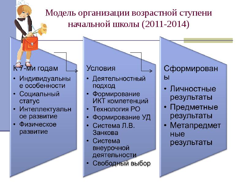 Ступени возраста. Разделение школы по возрастным ступеням.