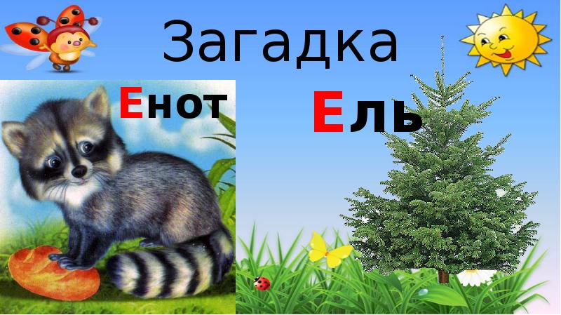 Цветная схема слова енот для 1 класса