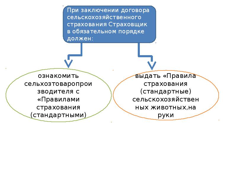 Страхование сельскохозяйственных животных презентация