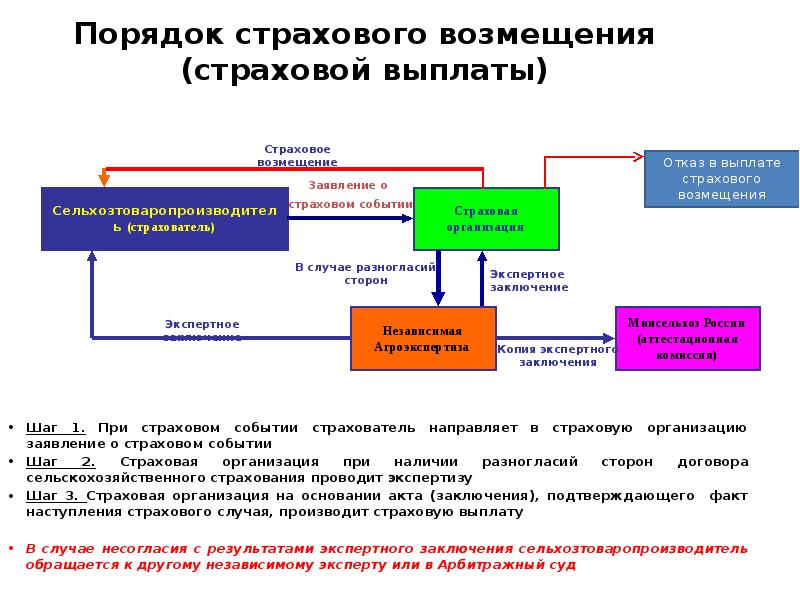 Страховой порядок