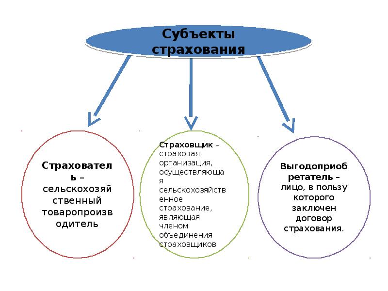 Страхование сельскохозяйственных животных презентация