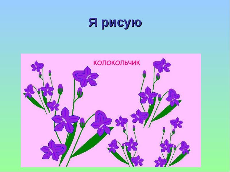 Растения из красной книги россии рисунок