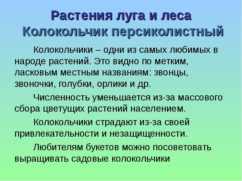 Растения численность