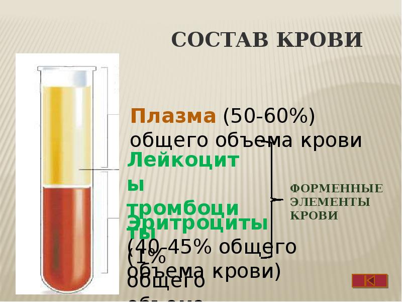 Плазма крови презентация