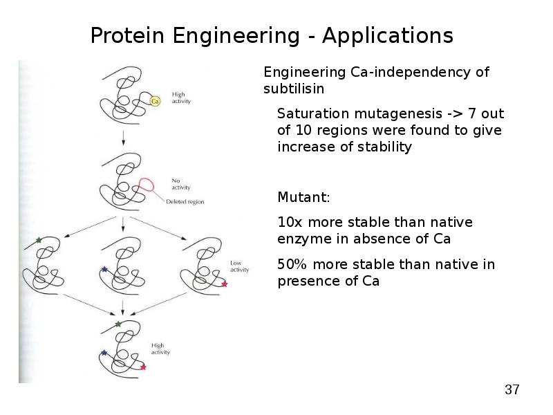 Directed Mutagenesis and Protein Engineering