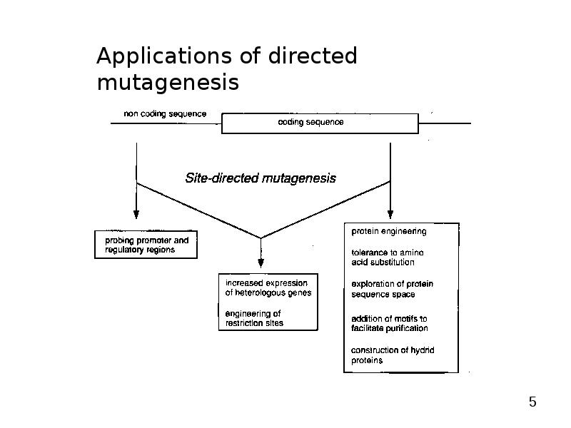 Directed Mutagenesis and Protein Engineering