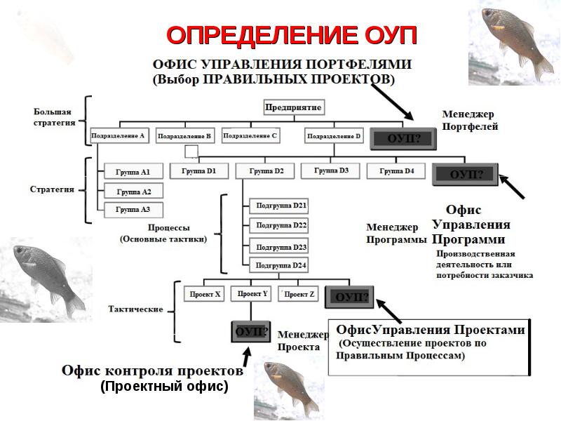 Оуп. Типы структур офиса управления проектами (ОУП).. Куп ОУП эксперты команда проектов. ОУП-1.