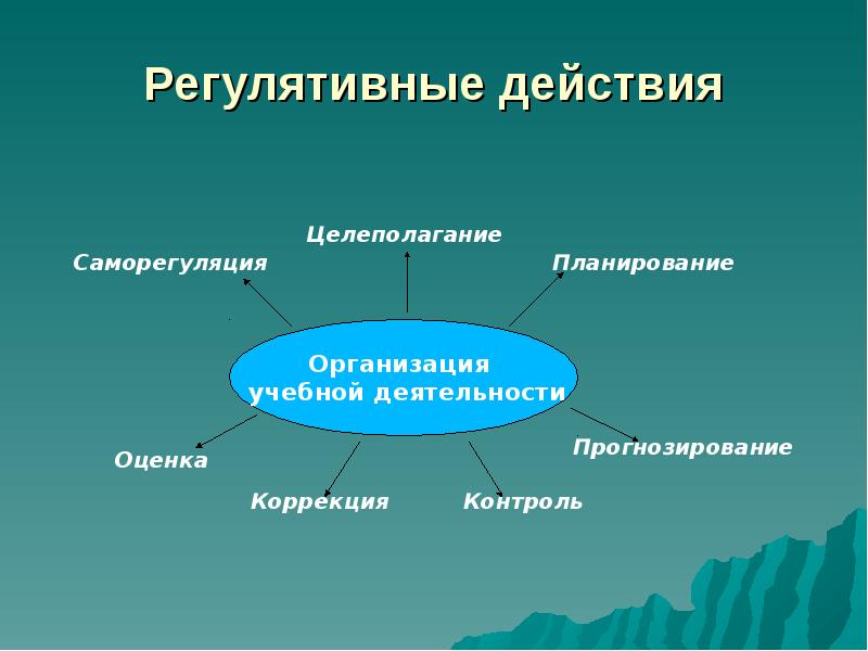 Организованное действие. Регулятивное планирование экономики.