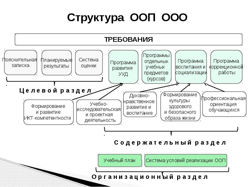 Структура основных образовательных