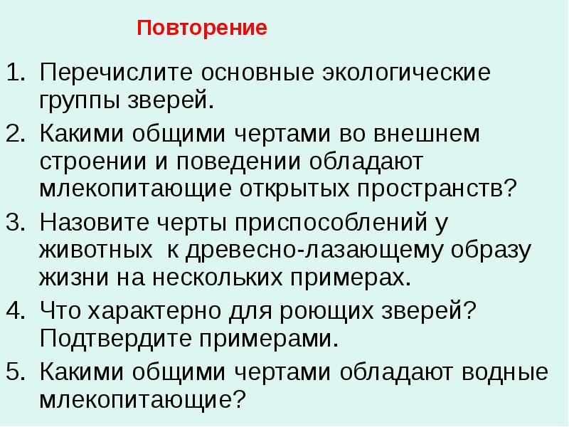 Презентация по теме экологические группы млекопитающих