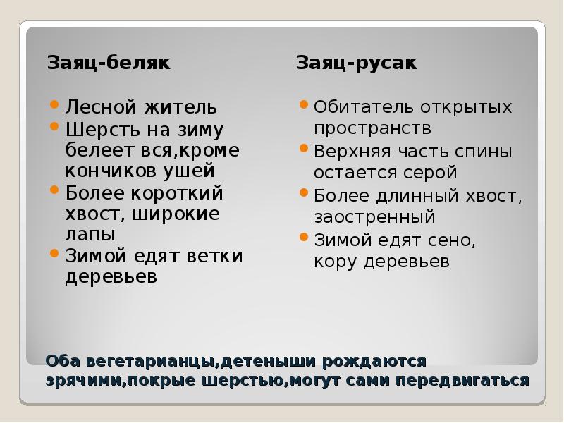 Рассмотрите рисунки двух животных разных видов одного рода сравните их заяц русак заяц беляк таблица