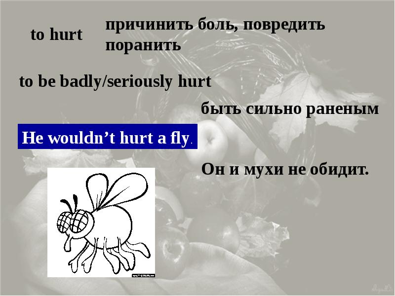 Wouldn t hurt. Hurt a Fly. Wouldn't hurt a Fly. More ... Than hurt idiom.