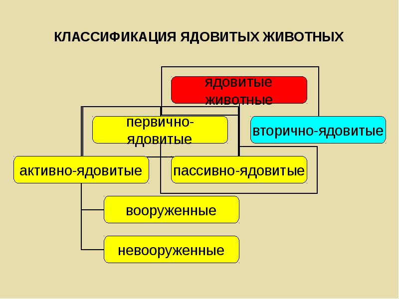 Вторично ядовитые животные