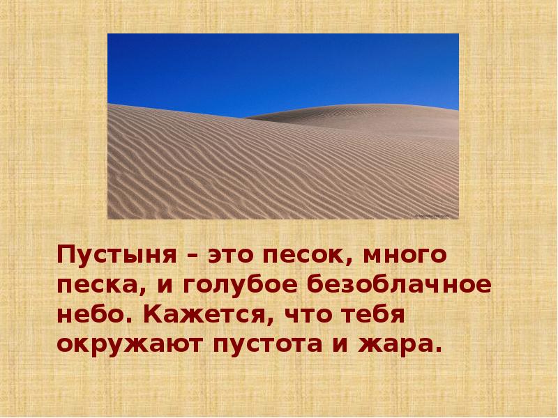 Животный мир пустынь: потрясающие снимки обитателей Другие животные nadezhda-kar