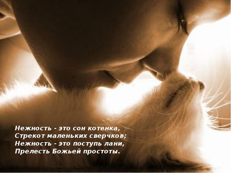 Любит ласку фото