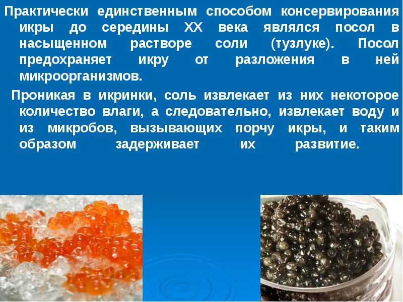 Микробиология рыбных продуктов презентация