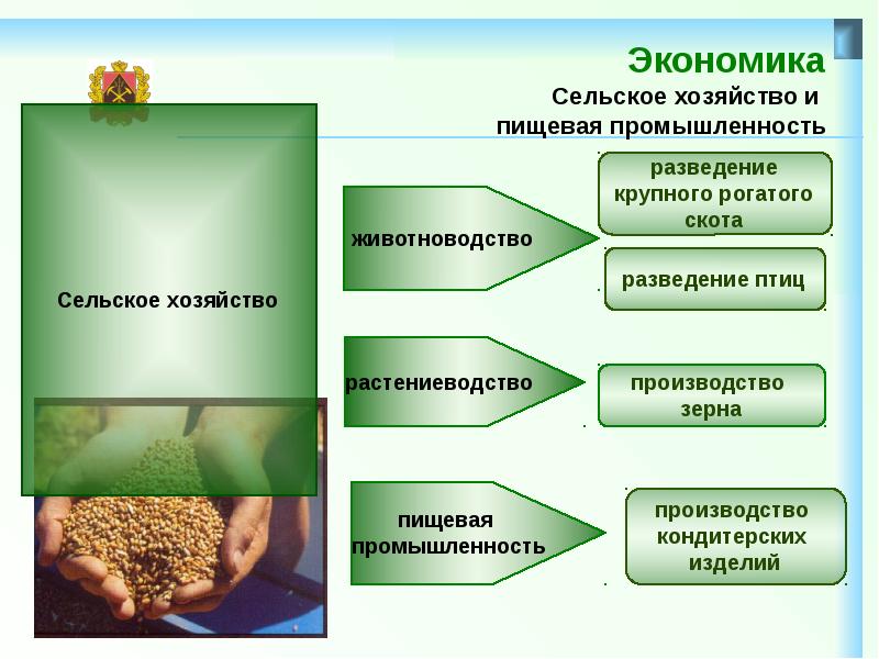 Основы экономики сельской хозяйстве. Отрасли сельского хозяйства Кемеровской области. Отрасли экономики Кемеровской области сельского хозяйства. Сельское хозяйство Кемеровской области доклад. Сельское хозяйство Кемеровской области презентация.