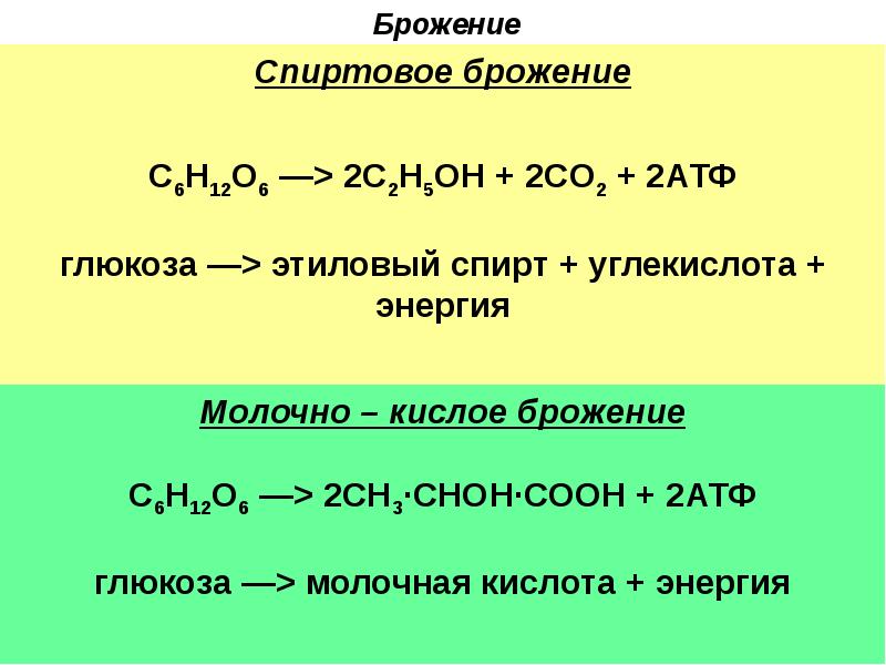 Спиртовое брожение. Спиртовое брожение Глюкозы. Спиртовое брожение формула. Реакция спиртового брожения сахарозы. 6. Уравнение спиртового брожения Глюкозы.