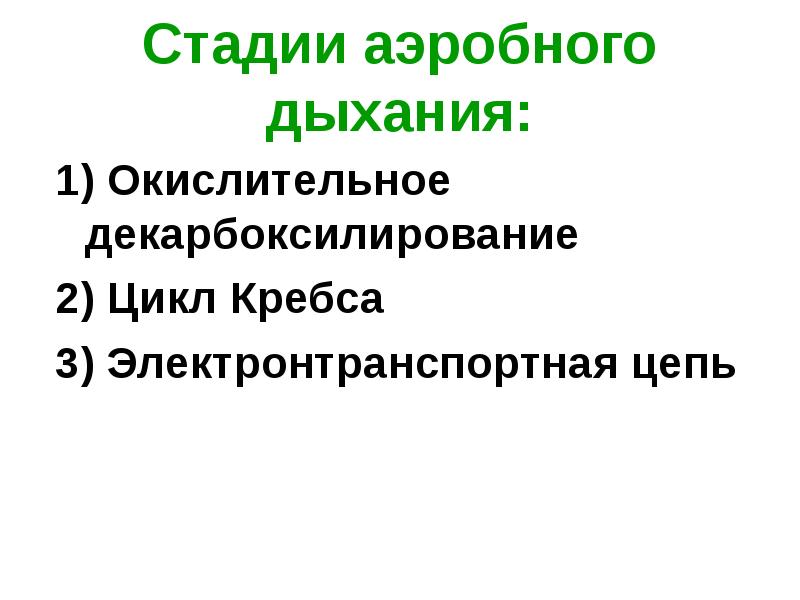 Стадии аэробного дыхания:
1) Окислительное декарбоксилирование
2) Цикл Кребса
3) Электронтранспортная Стадии аэробного дыхания:
1) Окислительное декарбоксилирование
2) Цикл Кребса
3) Электронтранспортная