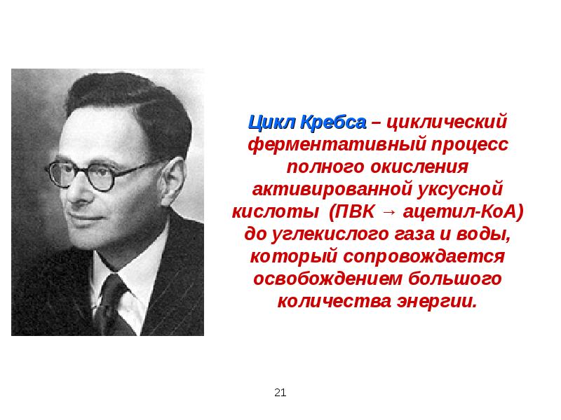 Цикл Кребса – циклический ферментативный процесс полного окисления активированной уксусной кислоты Цикл Кребса – циклический ферментативный процесс полного окисления активированной уксусной кислоты